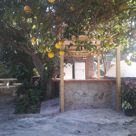 Finca Los Aguacates Trapiche  Exteriör bild