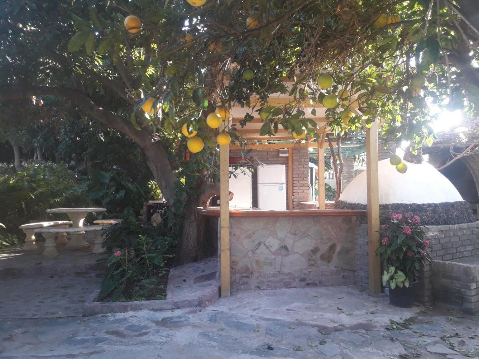 Finca Los Aguacates Trapiche  Exteriör bild